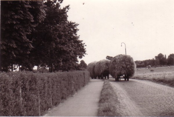 Bisschopsweg ca. 1950