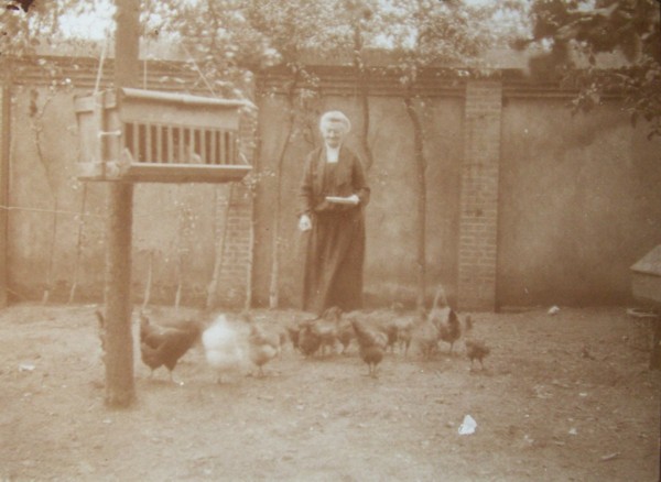 Annalida Jacoba Ploeg voert de kippen