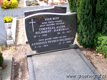 Grafmonument grafsteen Cornelia Alida  Hartman