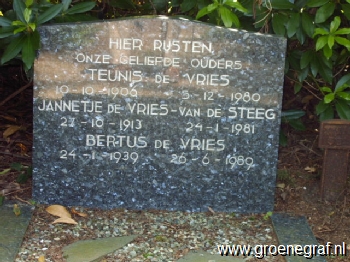 Grafmonument grafsteen Bertus de Vries