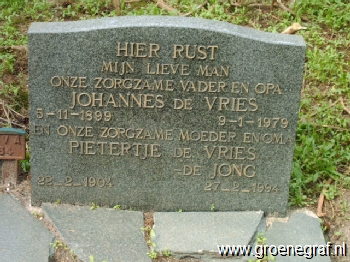 Grafmonument grafsteen Pietertje de Jong
