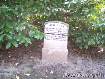 Grafmonument grafsteen Catharina  Langelaar