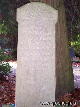 Grafmonument grafsteen Gerarda  Riemer