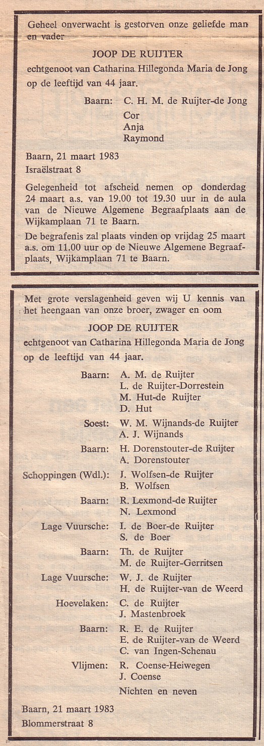 Afbeelding bij Johannes de Ruijter