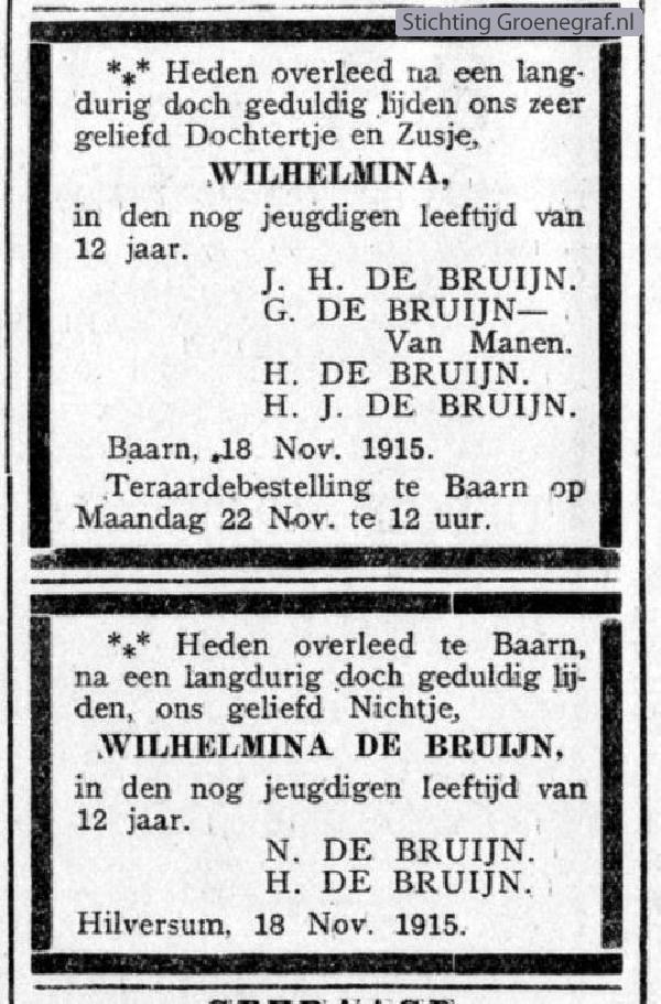 Afbeelding bij Wilhelmina de Bruijn